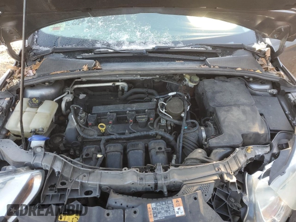 2014 Ford Focus SE with VIN 1FADP3K2XEL367335, listed as a Copart auction lot 48948755 with Not Provided miles and Non Repairable. Bid and sale history available at carsss.com. Image 11.
