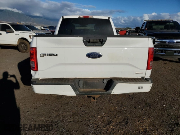 2016 Ford F-150 XL with VIN 1FTEX1CF3GKD97614, listed as a Copart auction lot 80098174 with 33,837 mi miles and Salvage Title. Bid and sale history available at carsss.com. Image 6.