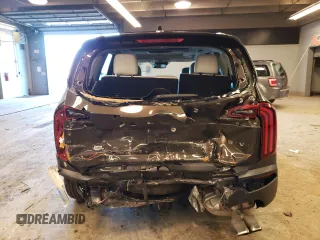 2020 Kia Telluride SX with VIN 5XYP5DHC7LG015406, listed as a Copart auction lot 40481324 with 85,285 mi miles and Salvage Title. Bid and sale history available at carsss.com. Image 6.