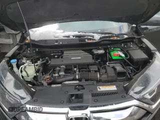 2019 Honda CR-V EX-L with VIN 7FARW2H80KE020088, listed as a Copart auction lot 42612335 with 38,384 mi miles and Salvage Title. Bid and sale history available at carsss.com. Image 12.