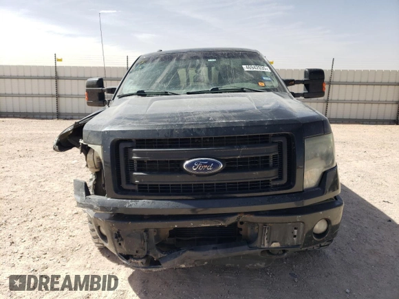 2013 Ford F-150 XL with VIN 1FTFW1ET9DFC18703, listed as a Copart auction lot 46942035 with 177,984 mi miles and Salvage Title. Bid and sale history available at carsss.com. Image 5.