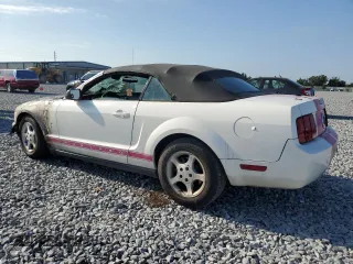 2008 Ford Mustang Deluxe with VIN 1ZVHT84N085133559, listed as a Copart auction lot 57449265 with Not provided miles and Salvage title. Bid and sale history available at DreamBid. Image 2.