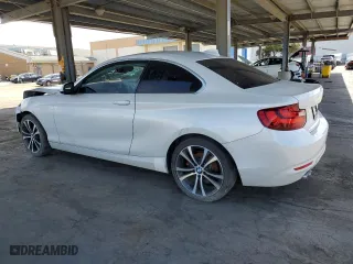2016 BMW 2 Series 228i with VIN WBA1F9C57GV545699, listed as a Copart auction lot 52920485 with 0 mi miles and Clean Title. Bid and sale history available at carsss.com. Image 2.