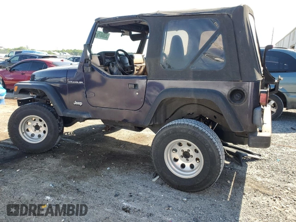 1998 Jeep Wrangler SE with VIN 1J4FY29P0WP784334, listed as a Copart auction lot 52384075 with 0 mi miles and Salvage Title. Bid and sale history available at carsss.com. Image 2.