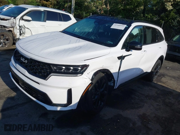 2022 Kia Sorento SX with VIN 5XYRKDLF8NG160119, listed as a IAAI auction lot 41968950 with 40,167 mi miles. Bid and sale history available at carsss.com. Image 18.