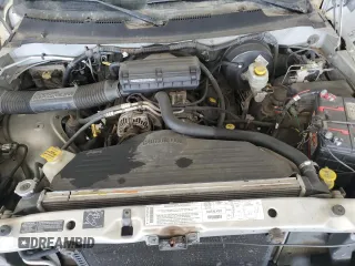 2001 Dodge 1500 z VIN 3B7HF13Z11G165621, wystawiony jako Copart lot #52585255 z przebiegiem 232 673 mil mil oraz Szkoda całkowita • Salvage title. Historia ofert i sprzedaży dostępna na DreamBid. Obrazek 11.