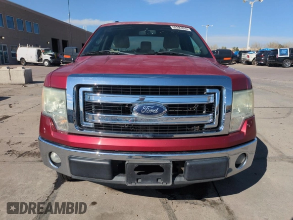 2013 Ford F-150 XL with VIN 1FTMF1CM6DKE93505, listed as a Copart auction lot 53392835 with 79,370 mi miles and Salvage Title. Bid and sale history available at carsss.com. Image 5.