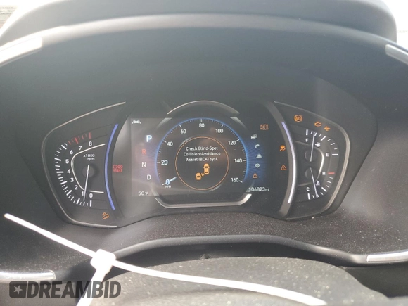 2019 Hyundai Santa Fe Ultimate with VIN 5NMS5CAA9KH021256, listed as a Copart auction lot 48920435 with 106,823 mi miles and Clean Title. Bid and sale history available at carsss.com. Image 9.