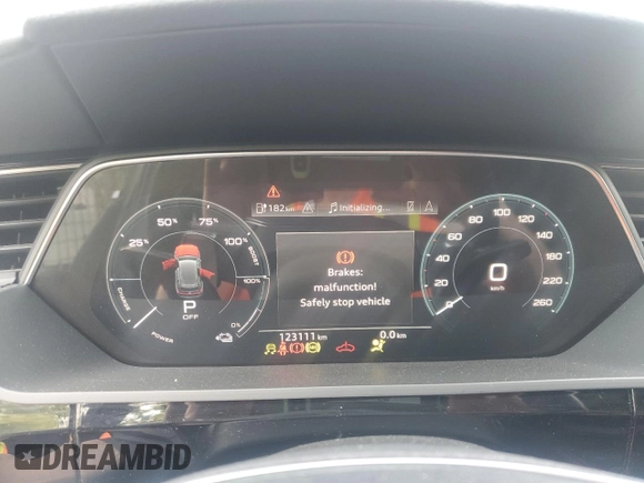 2019 Audi e-tron Prestige with VIN WA1VAAGE8KB008858, listed as a Copart auction lot 56161725 with 123,111 mi miles and Clean title. Bid and sale history available at DreamBid. Image 9.