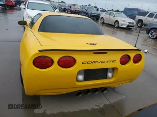 2002 Chevrolet Corvette Z06 with VIN 1G1YY12S025105250, listed as a Copart auction lot 74154304 with 0 mi miles and Salvage Title. Bid and sale history available at carsss.com. Image 6.