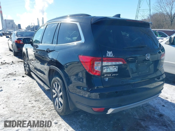2020 Honda Pilot EX-L с VIN 5FNYF6H59LB051071, выставлен на аукционе IAAI как лот 41303821 с пробегом 145 271 миль миль и . История ставок и продаж доступна на DreamBid. Изображение 3.