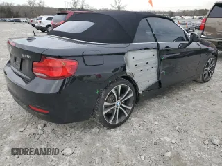 2018 BMW 2 Series 230i with VIN WBA2M7C51JVA97243, listed as a Copart auction lot 42369135 with 52,606 mi miles and Salvage Title. Bid and sale history available at carsss.com. Image 3.