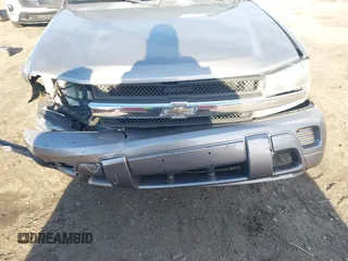 2006 Chevrolet TrailBlazer LS with VIN 1GNDT13S462249241, listed as a IAAI auction lot 41869456 with 228,053 mi miles. Bid and sale history available at carsss.com. Image 13.