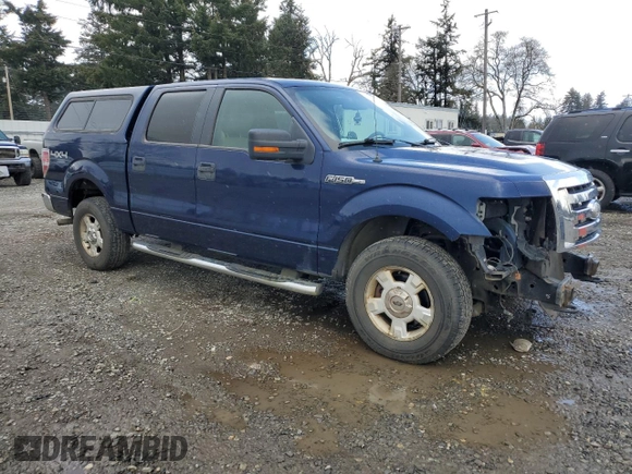 2009 Ford F-150 XL with VIN 1FTPW14VX9FA25474, listed as a Copart auction lot 51437595 with 147,088 mi miles and Salvage title. Bid and sale history available at DreamBid. Image 4.