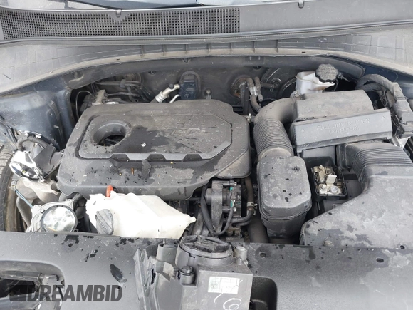 2019 Kia Sorento LX with VIN 5XYPGDA33KG529370, listed as a IAAI auction lot 41667904 with 173,123 mi miles. Bid and sale history available at carsss.com. Image 10.