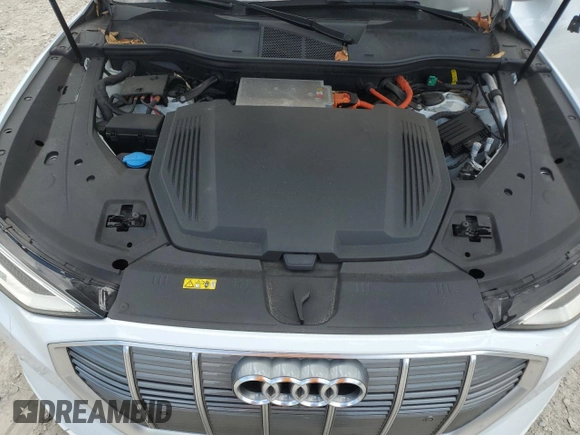 2019 Audi e-tron Prestige with VIN WA1VAAGE0KB013133, listed as a Copart auction lot 57060255 with 50,222 mi miles and Salvage title. Bid and sale history available at DreamBid. Image 11.