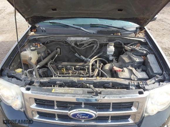 2010 Ford Escape XLT with VIN 1FMCU9D74AKD38287, listed as a IAAI auction lot 41688262 with 162,354 mi miles. Bid and sale history available at carsss.com. Image 10.