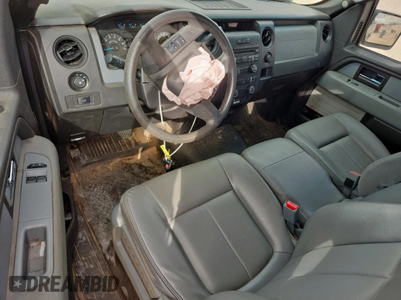 2013 Ford F-150 XL with VIN 1FTMF1CM9DKF31731, listed as a Copart auction lot 61798665 with 114,007 mi miles and Salvage title. Bid and sale history available at DreamBid. Image 8.