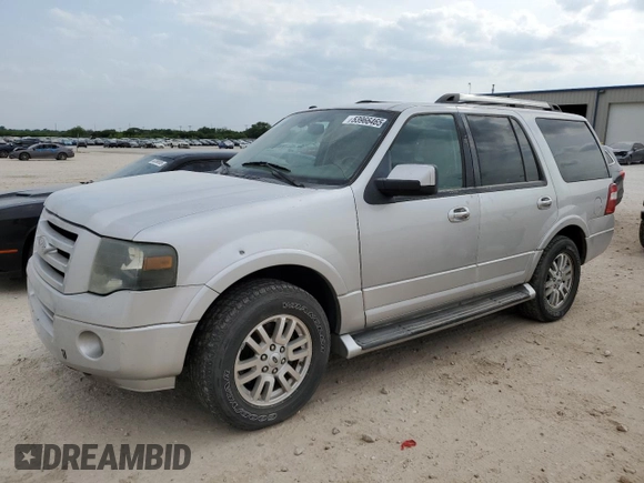 2010 Ford Expedition Limited with VIN 1FMJU1K5XAEA58768, listed as a Copart auction lot 53966465 with 293,134 mi miles and Clean title. Bid and sale history available at DreamBid. Image 1.