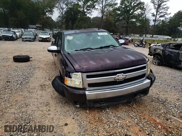 2008 Chevrolet Silverado 1500 1LT with VIN 2GCEC130081124610, listed as a Copart auction lot 45158565 with 327,843 mi miles and Salvage Title. Bid and sale history available at DreamBid. Image 11.