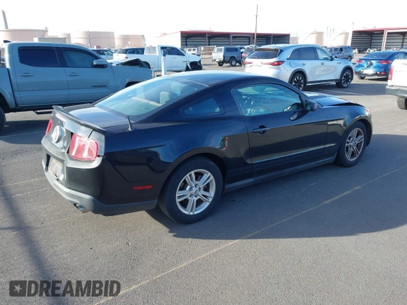 2011 Ford Mustang V6 with VIN 1ZVBP8AM4B5116826, listed as a IAAI auction lot 41436357 with 121,700 mi miles and . Bid and sale history available at carsss.com. Image 4.