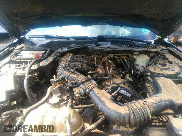 2015 Ford Mustang V6 с VIN 1FA6P8AM6F5373681, выставлен на аукционе IAAI как лот 42726545 с пробегом Не указан миль и . История ставок и продаж доступна на DreamBid. Изображение 10.