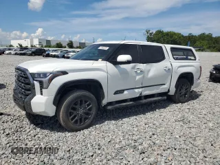 2023 Toyota Tundra Platinum with VIN 5TFNA5DB6PX097041, listed as a Copart auction lot 61903835 with 34,547 mi miles and Salvage title. Bid and sale history available at DreamBid. Image 1.