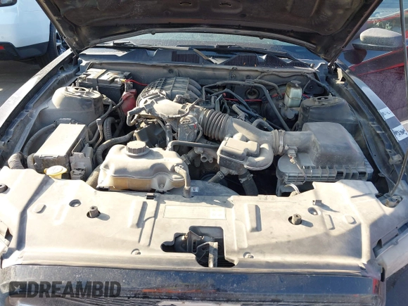 2014 Ford Mustang V6 with VIN 1ZVBP8AM3E5309764, listed as a IAAI auction lot 42169169 with 175,973 mi miles and . Bid and sale history available at DreamBid. Image 10.