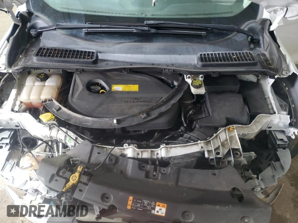2016 Ford Escape SE with VIN 1FMCU9GX0GUB42503, listed as a Copart auction lot 50174515 with 130,204 mi miles and Salvage Title. Bid and sale history available at DreamBid. Image 12.