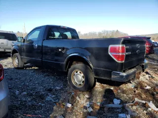 2010 Ford F-150 XL with VIN 1FTMF1C88AKE06766, listed as a Copart auction lot 81113564 with 0 mi miles and Clean Title. Bid and sale history available at carsss.com. Image 2.