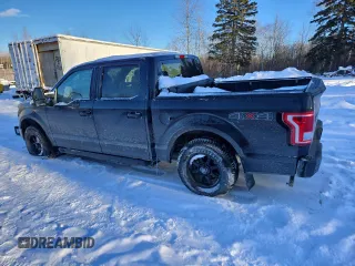 2015 Ford F-150 XLT with VIN 1FTEW1E83FFC62819, listed as a Copart auction lot 88493345 with 295,867 mi miles and Salvage Title. Bid and sale history available at DreamBid. Image 2.