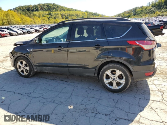 2014 Ford Escape SE with VIN 1FMCU9GX1EUB06543, listed as a Copart auction lot 75326984 with 119,881 mi miles and Salvage title. Bid and sale history available at DreamBid. Image 2.