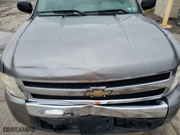 2008 Chevrolet Silverado 1500 Work Truck with VIN 1GCEK14X78Z287082, listed as a Copart auction lot 73227224 with 133,923 mi miles and Salvage Title. Bid and sale history available at carsss.com. Image 11.