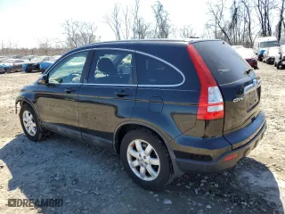 2009 Honda CR-V EX-L with VIN 5J6RE38759L011075, listed as a Copart auction lot 49556205 with 183,305 mi miles and Salvage Title. Bid and sale history available at carsss.com. Image 2.