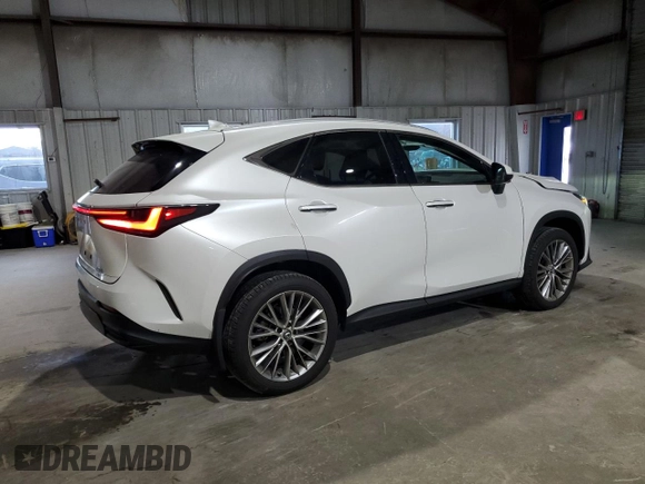 2024 Lexus NX 350 Luxury with VIN 2T2HGCEZ1RC032641, listed as a Copart auction lot 78961404 with 13,066 mi miles and Salvage title. Bid and sale history available at DreamBid. Image 3.