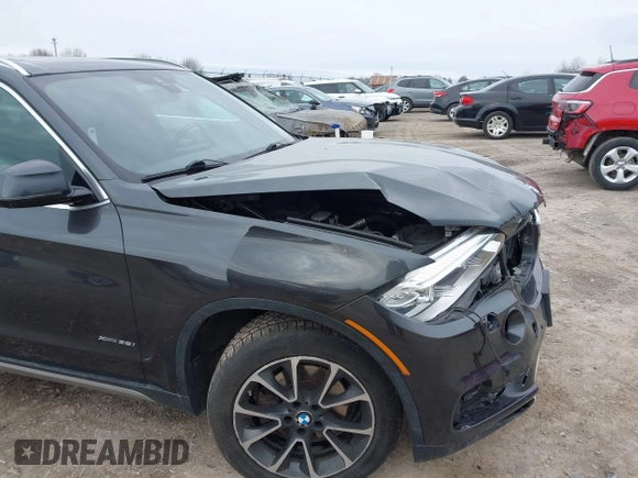 2017 BMW X5 xDrive35i with VIN 5UXKR0C59H0V50278, listed as a IAAI auction lot 41930383 with 123,786 mi miles. Bid and sale history available at carsss.com. Image 17.