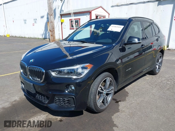 2017 BMW X1 xDrive28i with VIN WBXHT3C36H5F76858, listed as a IAAI auction lot 42184914 with 165,923 mi miles and . Bid and sale history available at DreamBid. Image 17.
