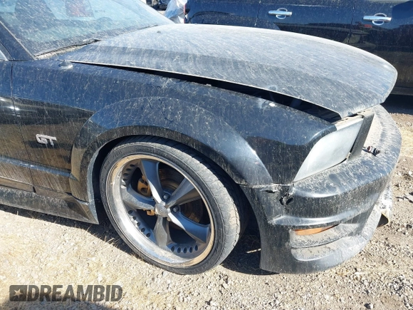 2006 Ford Mustang GT Deluxe with VIN 1ZVFT82H065257638, listed as a IAAI auction lot 40384311 with Not provided miles and . Bid and sale history available at DreamBid. Image 19.