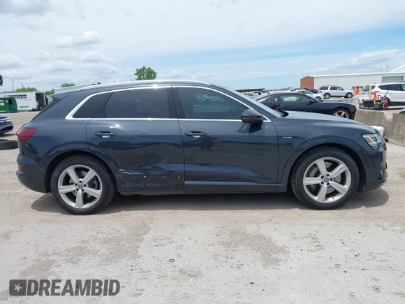 2019 Audi e-tron Premium Plus with VIN WA1LABGE6KB012565, listed as a IAAI auction lot 42220663 with 48,804 mi miles and . Bid and sale history available at DreamBid. Image 13.