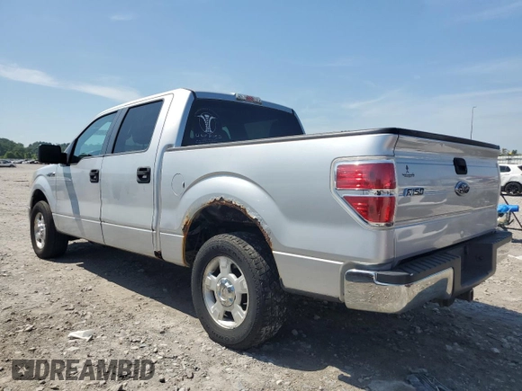 2010 Ford F-150 XL with VIN 1FTEW1C88AFA71473, listed as a Copart auction lot 61420085 with 143,965 mi miles and Salvage title. Bid and sale history available at DreamBid. Image 2.