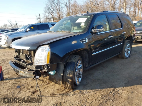 2013 Cadillac Escalade Platinum Edition with VIN 1GYS4DEF7DR251126, listed as a IAAI auction lot 41534025 with 173,153 mi miles. Bid and sale history available at carsss.com. Image 2.