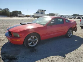 2008 Ford Mustang Deluxe with VIN 1ZVHT80N785158528, listed as a Copart auction lot 49734335 with NaN miles and Salvage Title. Bid and sale history available at carsss.com. Image 1.