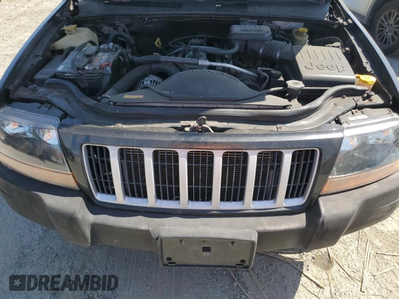 2004 Jeep Grand Cherokee Laredo with VIN 1J4GW48S84C182135, listed as a Copart auction lot 62224975 with 187,938 mi miles and Clean title. Bid and sale history available at DreamBid. Image 12.