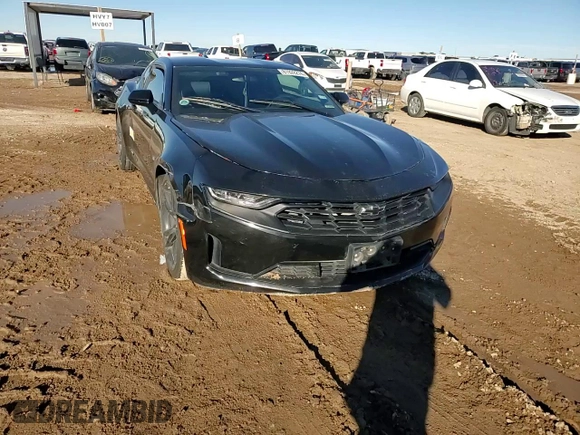 2019 Chevrolet Camaro 2LT with VIN 1G1FD1RS7K0152183, listed as a Copart auction lot 81928274 with 71,937 mi miles and Salvage Title. Bid and sale history available at carsss.com. Image 10.