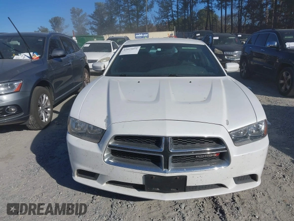 2014 Dodge Charger SE with VIN 2C3CDXBGXEH192832, listed as a IAAI auction lot 41029054 with 98,388 mi miles and . Bid and sale history available at DreamBid. Image 12.