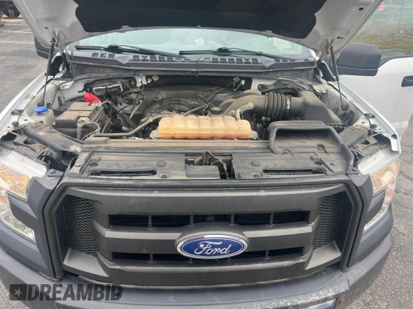 2017 Ford F-150 XL z VIN 1FTEX1E83HFA54391, wystawiony jako Copart lot #49659815 z przebiegiem 199 000 mil mil oraz Czysty tytuł • Clean title. Historia ofert i sprzedaży dostępna na DreamBid. Obrazek 7.