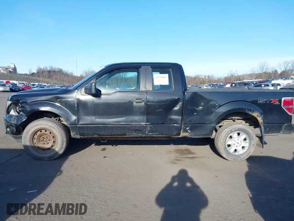 2010 Ford F-150 XL with VIN 1FTEX1EW2AFD38194, listed as a IAAI auction lot 41773805 with 143,313 mi miles. Bid and sale history available at carsss.com. Image 14.