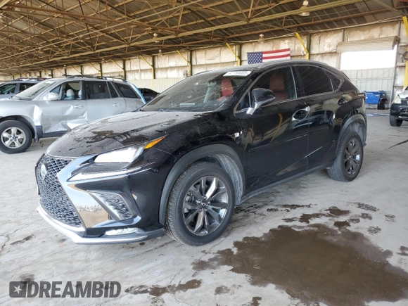 2019 Lexus NX with VIN JTJYARBZXK2119310, listed as a Copart auction lot 47755005 with 200,096 mi miles and Salvage Title. Bid and sale history available at carsss.com. Image 1.