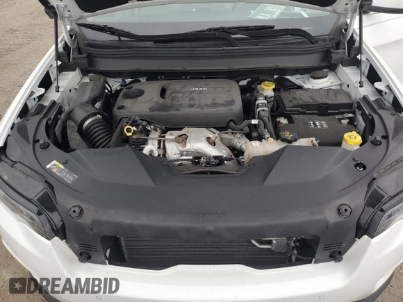 2019 Jeep Cherokee Limited with VIN 1C4PJLDN8KD296724, listed as a Copart auction lot 75220604 with Not Provided miles and Salvage Title. Bid and sale history available at DreamBid. Image 12.