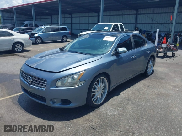 2010 Nissan Maxima SV with VIN 1N4AA5AP9AC873200, listed as a IAAI auction lot 42556100 with 184,640 mi miles and . Bid and sale history available at DreamBid. Image 2.